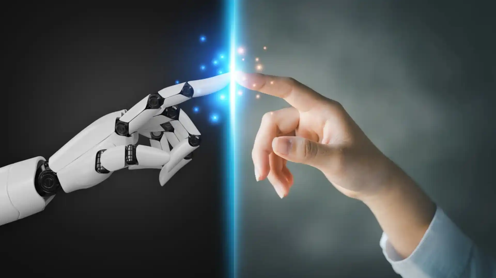 Difference Between Machine Translation and Human Translation